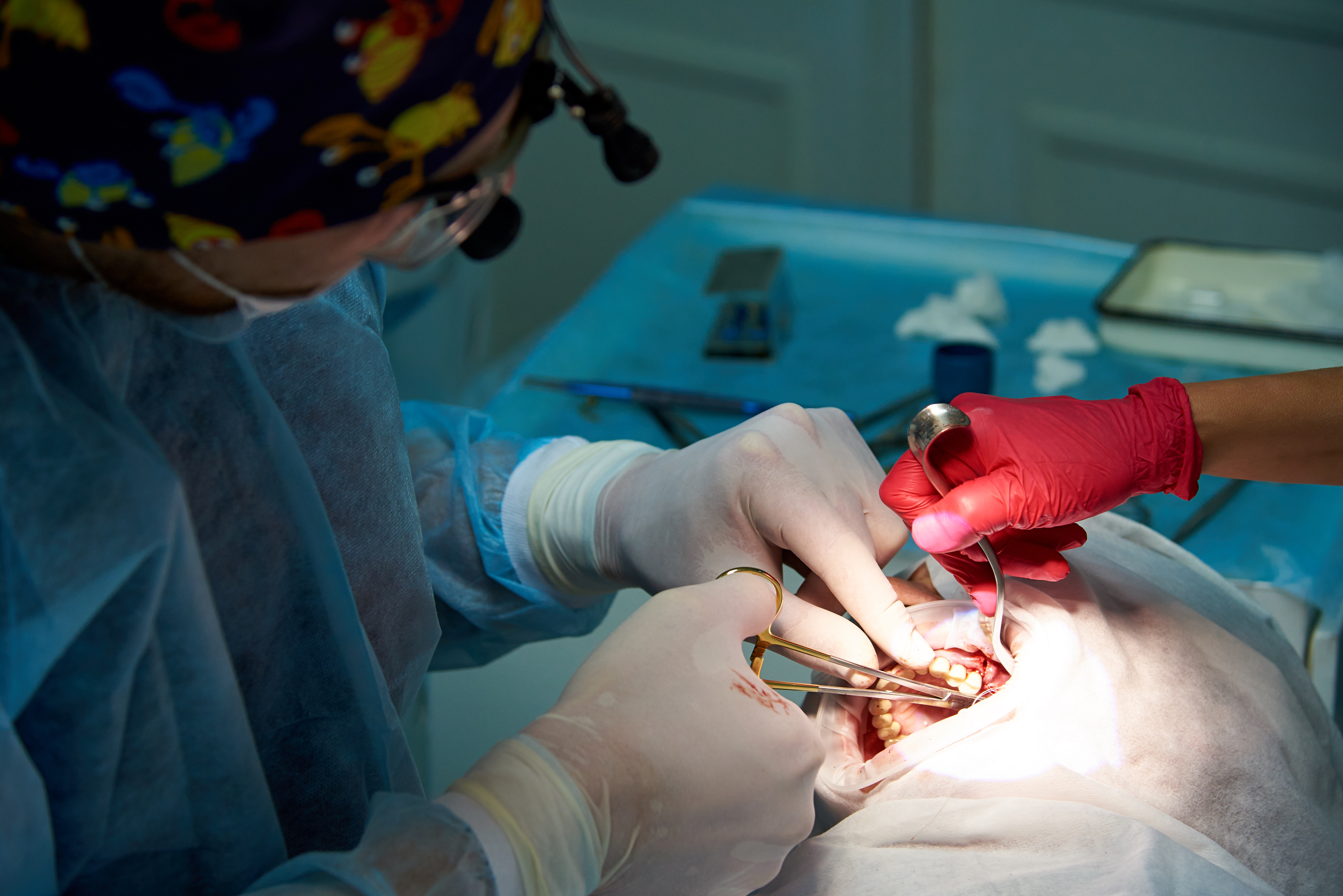 What are the Different Types of Oral Surgery Procedures?